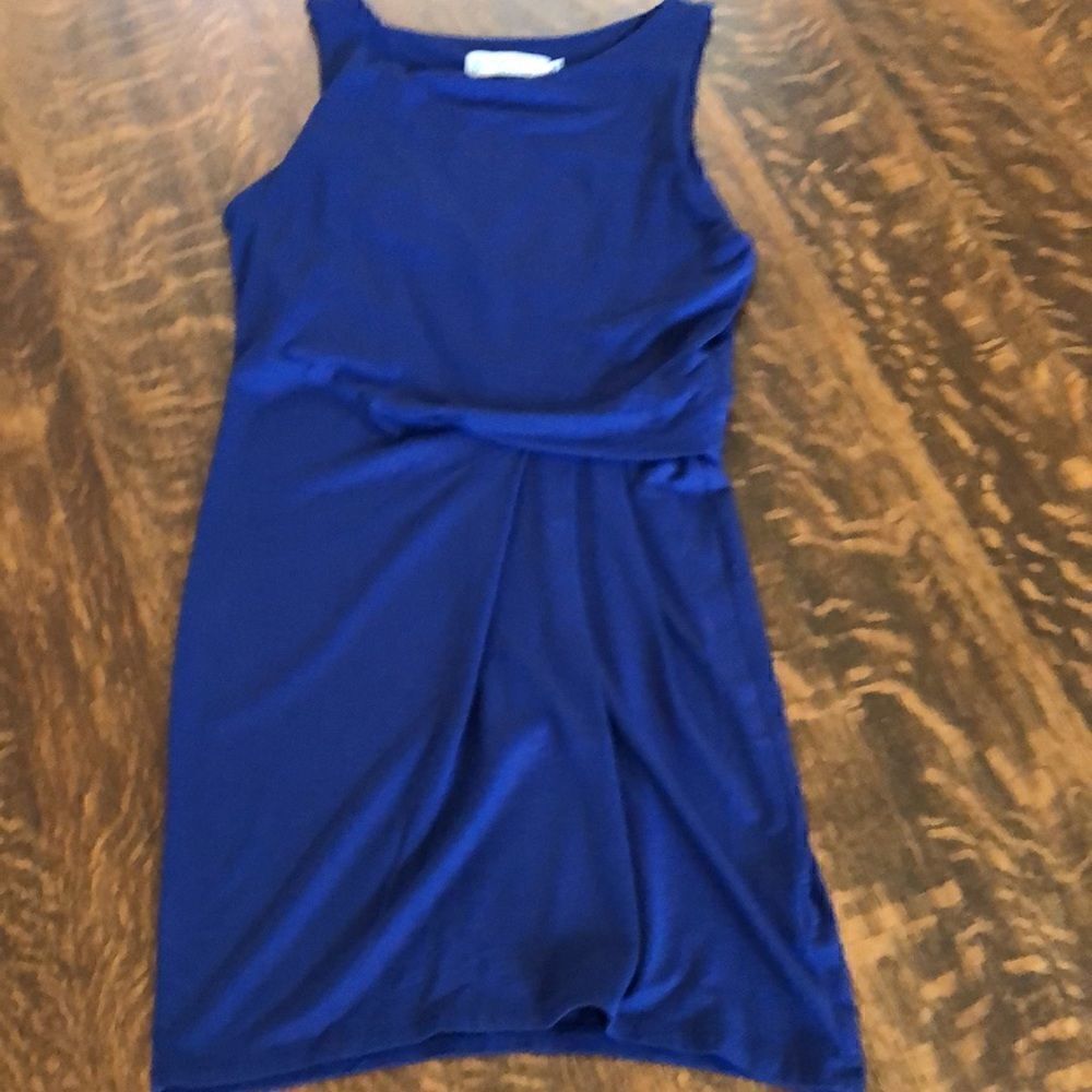 Fighting Eel Blue Sheath Dress